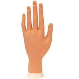 Cre8tion Premium Soft Adjustable Hand Model, Positionable Finger Finger, 10031 BB KK0715 